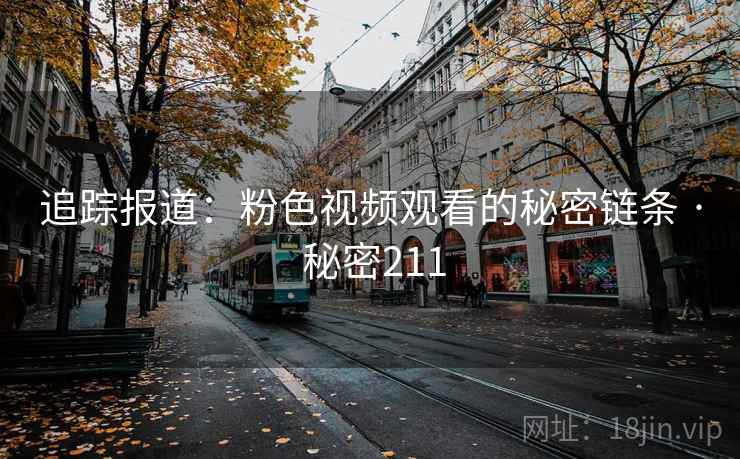 追踪报道：粉色视频观看的秘密链条 · 秘密211