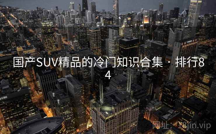 国产SUV精品的冷门知识合集 · 排行84